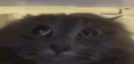 ShadowDemonHD_
